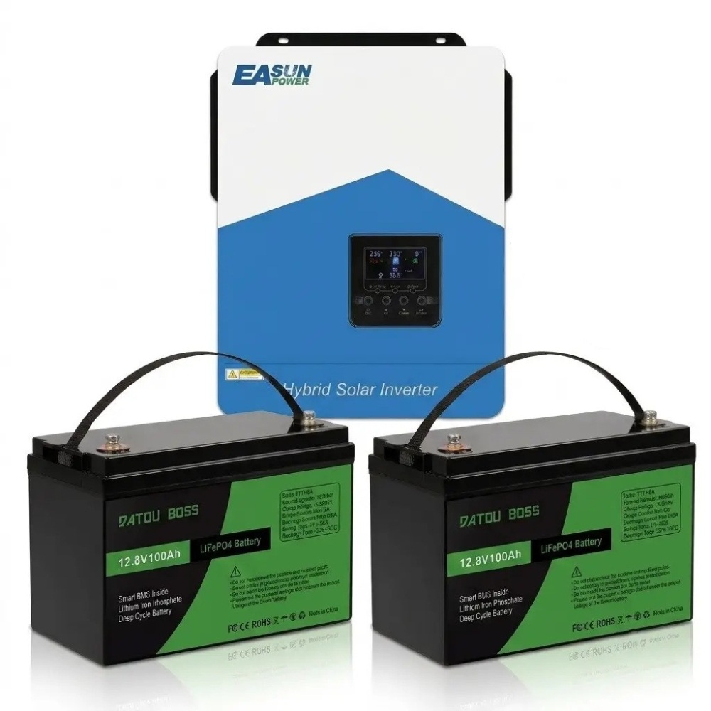 3 кВт LiFePO4 Комплект резервного живлення Інвертор Easun Power + 2 акумулятора 12V 100Ah Datouboss