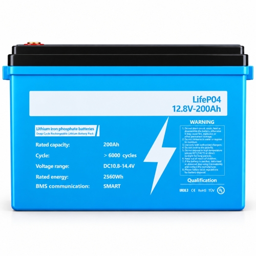 LiFePO4 12V/200Ah Акумулятор Dipower для резервного живлення будинку, квартири з BMS