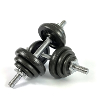 Гантельний набір 30 кг (сталь фарбована) ST30KG