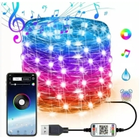 Гірлянда зі smart додатком 100 led 10 метрів RGB на USB