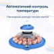 Інкубатор на 80 яєць автоматичний 220/12В з переворотом та цифровим терморегулятором Vertis
