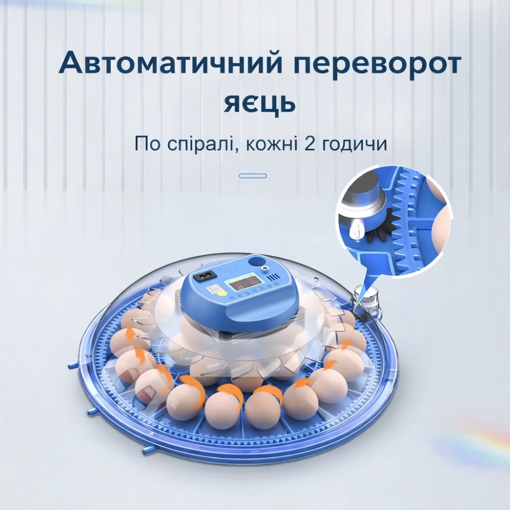 Інкубатор на 80 яєць автоматичний 220/12В з переворотом та цифровим терморегулятором Vertis