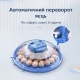 Інкубатор на 80 яєць автоматичний 220/12В з переворотом та цифровим терморегулятором Vertis