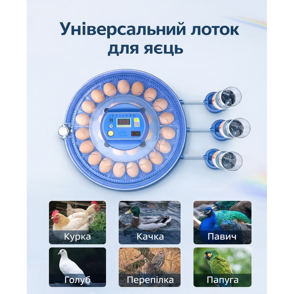 Інкубатор на 80 яєць автоматичний 220/12В з переворотом та цифровим терморегулятором Vertis