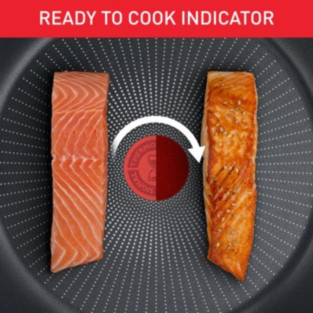 Кастрюля TEFAL Household 24х11 см