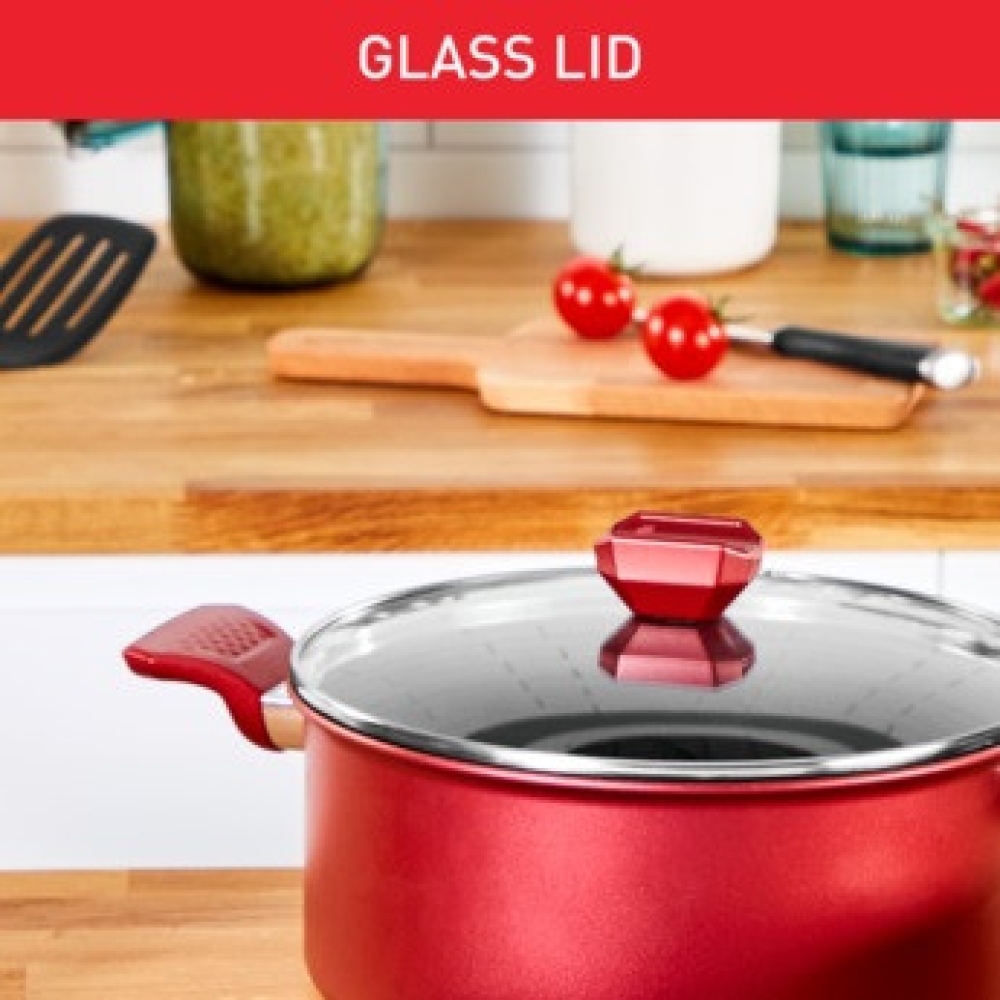 Кастрюля TEFAL Household 24х11 см