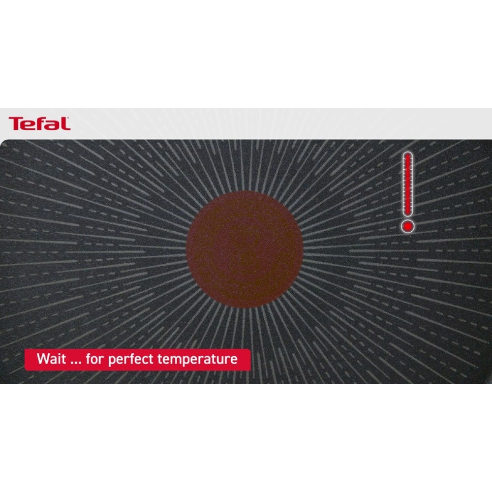 Кастрюля TEFAL Household 24х11 см