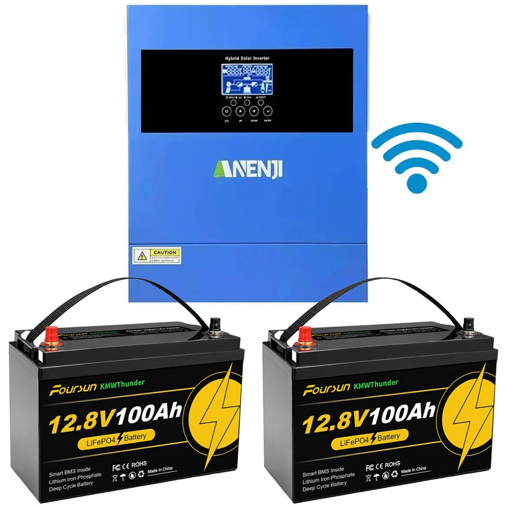 4.2 кВт LiFePO4 Комплект резервного живлення Інвертор Anenji WiFi 24 В + 2 акумулятора 12V 100Ah Foursun