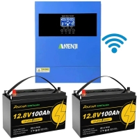 4.2 кВт LiFePO4 Комплект резервного живлення Інвертор Anenji WiFi 24 В + 2 акумулятора 12V 100Ah Foursun