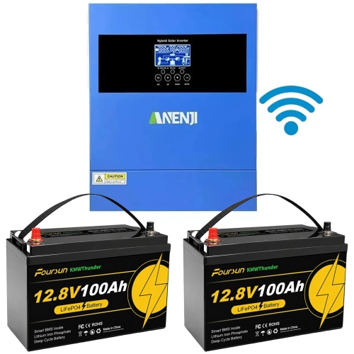 4.2 кВт LiFePO4 Комплект резервного живлення Інвертор Anenji WiFi 24 В + 2 акумулятора 12V 100Ah Foursun