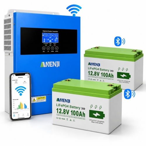4,2 кВт LiFePO4 Комплект резервного живлення Інвертор Anenji WiFi + 2 акумулятора 12V 100Ah Bluetooth для квартири, будинку