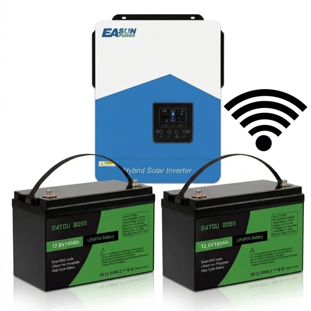 3,2 кВт LiFePO4 Комплект резервного живлення Інвертор Easun Power з WiFi + 2 акумулятора 12V 100Ah Datouboss