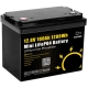 LiFePO4 12V/100Ah Акумулятор GoKWh Mini для резервного живлення будинку, квартири з BMS
