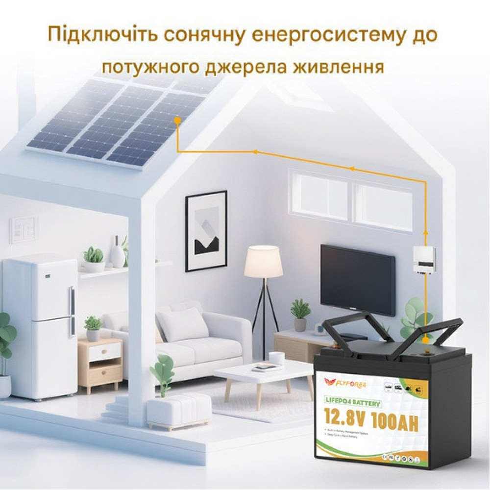 4.2 кВт LiFePO4 Комплект резервного живлення Інвертор Anenji WiFi 24 В + 2 акумулятора 12V 100Ah FLYFOREE, Smart BMS та Bluetooth