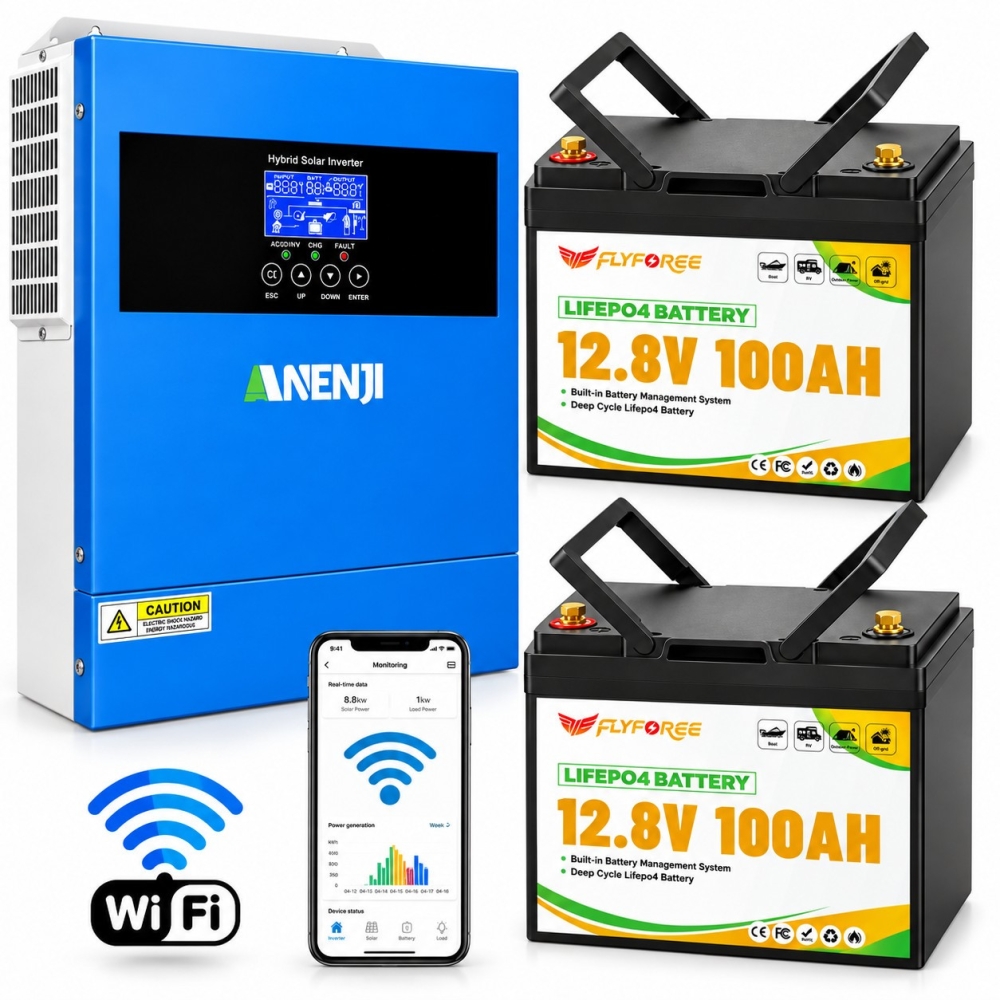 4.2 кВт LiFePO4 Комплект резервного живлення Інвертор Anenji WiFi 24 В + 2 акумулятора 12V 100Ah FLYFOREE, Smart BMS та Bluetooth