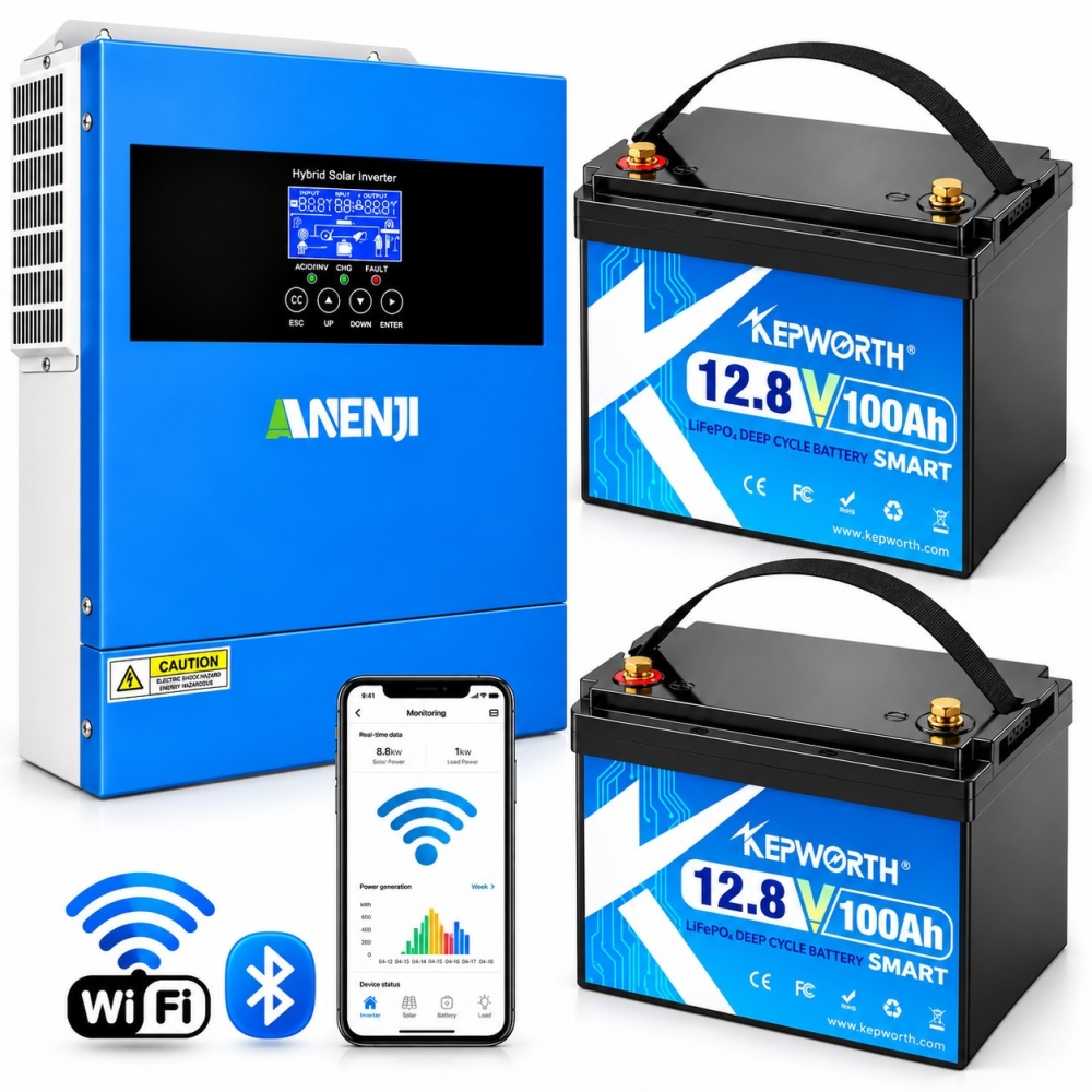 4.2 кВт LiFePO4 Комплект резервного живлення Інвертор Anenji WiFi 24 В + 2 акумулятора 12V 100Ah Kepworth Mini, Bluetooth APP