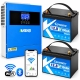 4.2 кВт LiFePO4 Комплект резервного живлення Інвертор Anenji WiFi 24 В + 2 акумулятора 12V 100Ah Kepworth Mini, Bluetooth APP