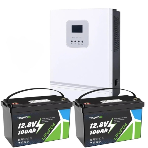 3 кВт LiFePO4 Комплект резервного живлення Інвертор Ameisentech + 2 акумулятора 12V 100Ah Yulongne для квартири, будинку