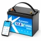 LiFePO4 12V/100Ah Акумулятор Kepworth Mini для резервного живлення будинку, квартири, Вбудована BMS, Bluetooth APP