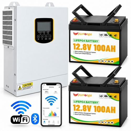 3,5 кВт LiFePO4 Комплект резервного живлення Інвертор Daxtromn + 2 акумулятора 12V 100Ah FLYFOREE, Smart BMS та Bluetooth APP