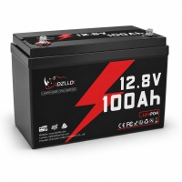 LiFePO4 12V 100 Ah Акумулятор Idzlldi BMS, для для резервного живлення будинку, квартири