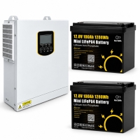 3,5 кВт LiFePO4 Комплект резервного живлення інвертор Daxtromn Power + 2 Акумулятори 12V/100Ah GoKWh Mini для будинку, квартири