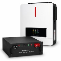 6,2 кВт LiFePO4 Комплект резервного живлення: гібридний інвертор Daxtromn AGH-6.2KW-PRO + 51.2V 100Ah Lithtech акумулятор