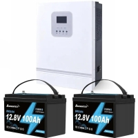 3 кВт LiFePO4 Комплект резервного живлення Інвертор Ameisentech+ 2 акумулятора 12V 100Ah Ameisentech для квартири, будинку
