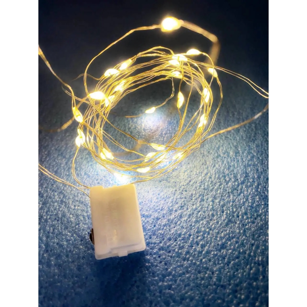 Гірлянда на батарейках-шайбах Роса 2м 20 LED Warm White