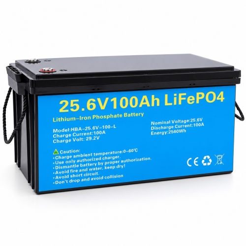 LiFePO4 24V/100Ah Акумулятор Daxtromn з BMS 100 А для систем резервного живлення