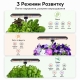 Гідропонна система GardenCube на 12 капсул: розумний домашній сад із LED-лампою та автоматичним насосом, Чорний