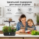 Гідропонна система GardenCube на 12 капсул: розумний домашній сад із LED-лампою та автоматичним насосом, Чорний