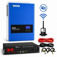 Комплект резервного живлення 6,2 кВт Інвертор Anenji WiFi + LiFePO₄ Dyness B4850 2,4 кВт·год для будинку, квартири